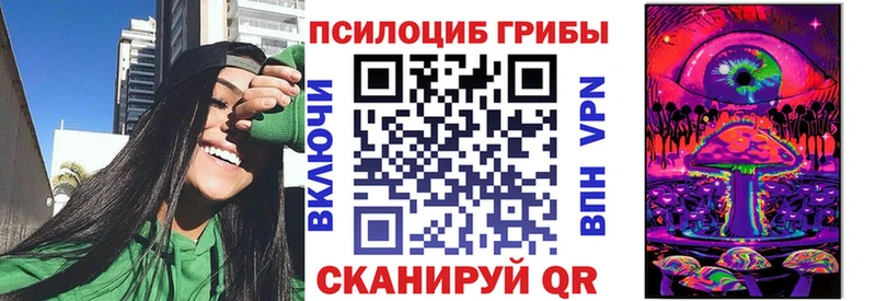 Галлюциногенные грибы Psilocybe  Губкин 